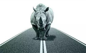 臣通觀點(diǎn)丨小心，中國(guó)產(chǎn)業(yè)園區(qū)的“灰犀?！庇謥砹?！